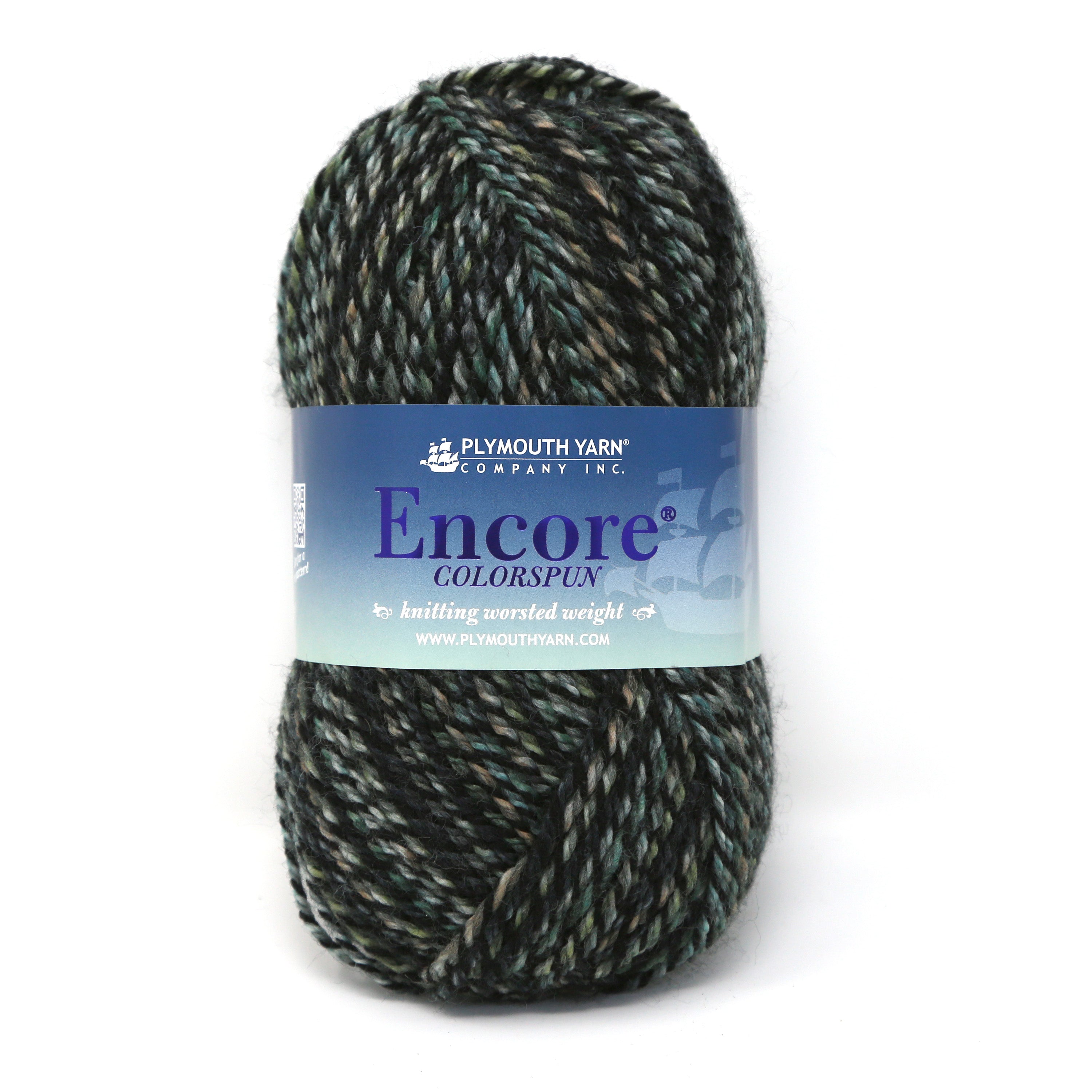 Encore Colorspun Worsted