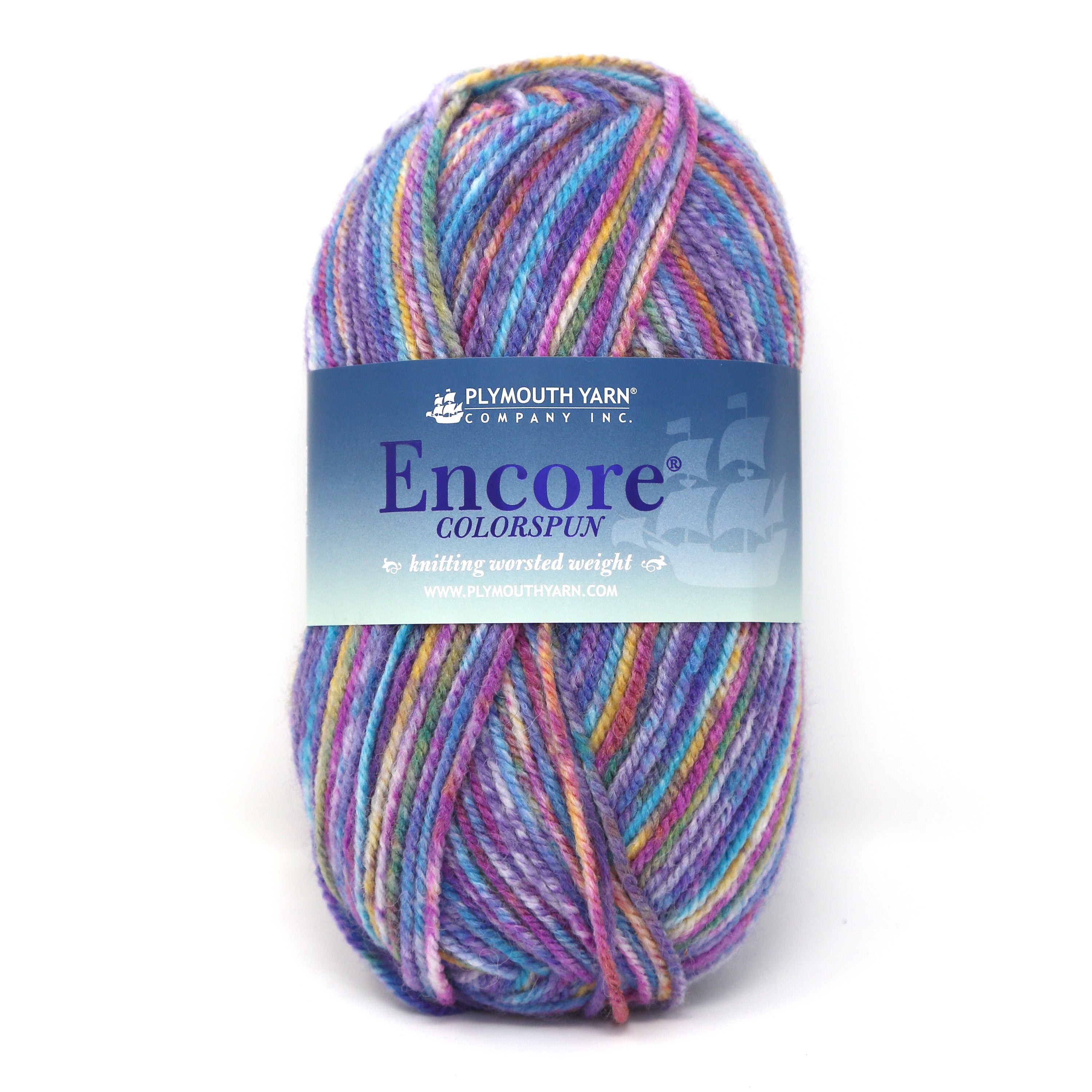 Encore Colorspun Worsted