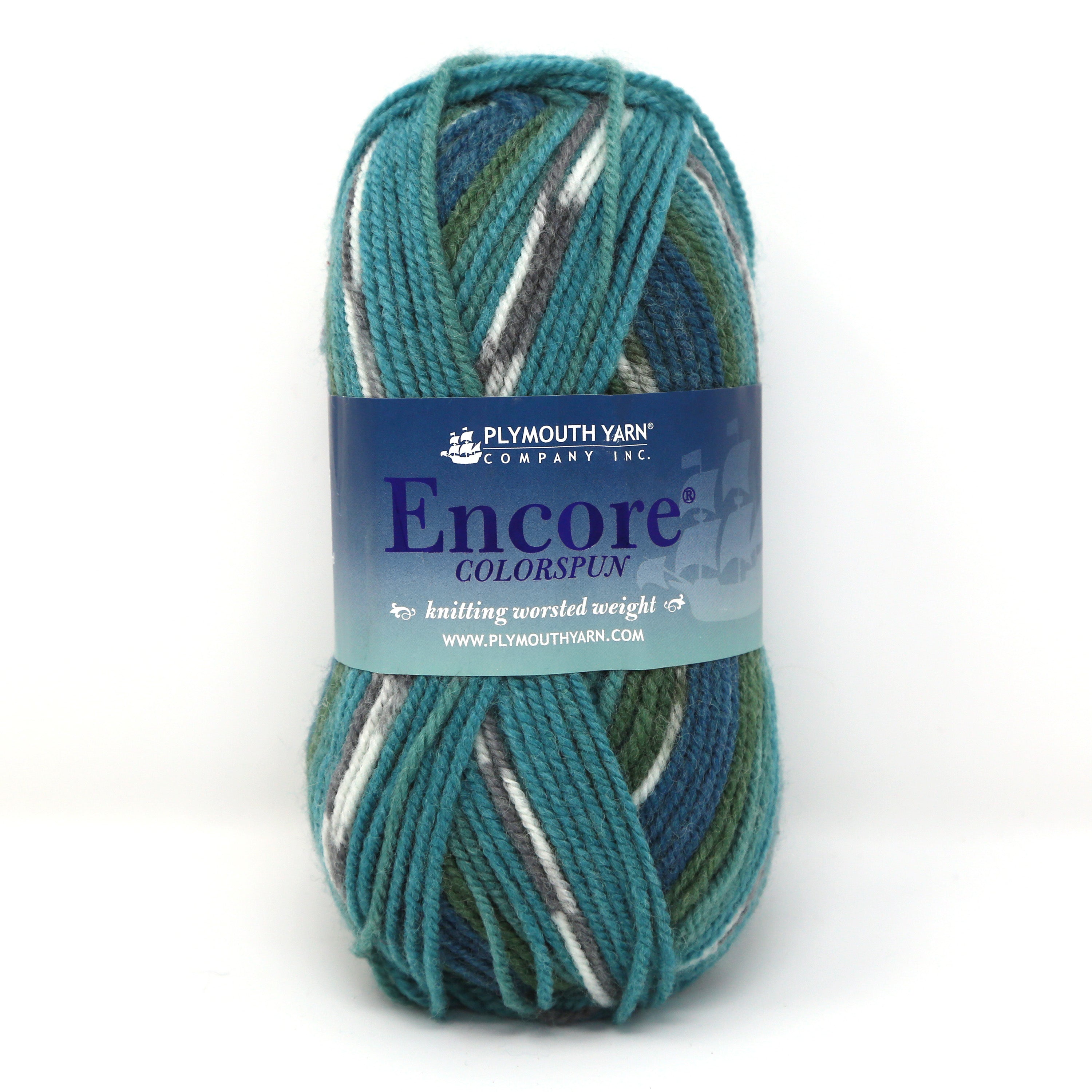 Encore Colorspun Worsted