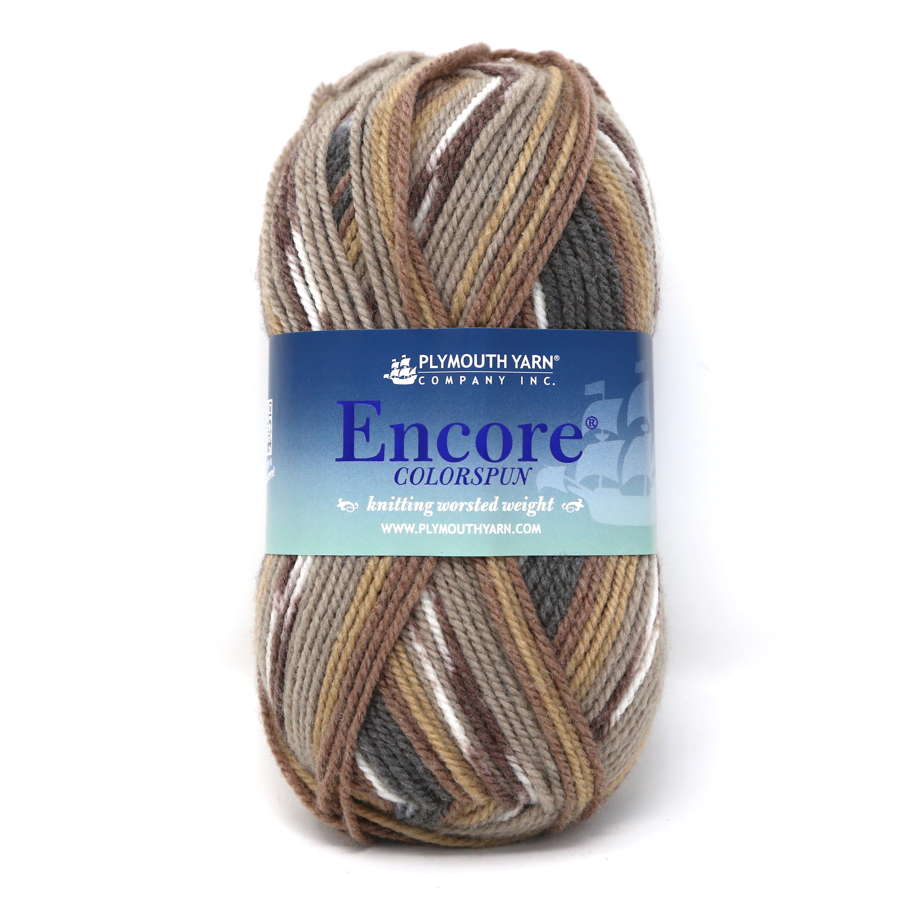 Encore Colorspun Worsted