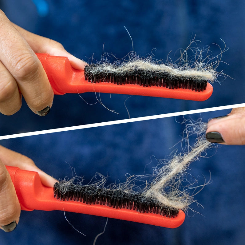 Lilly Brush & Cap Pet Hair Clean Up