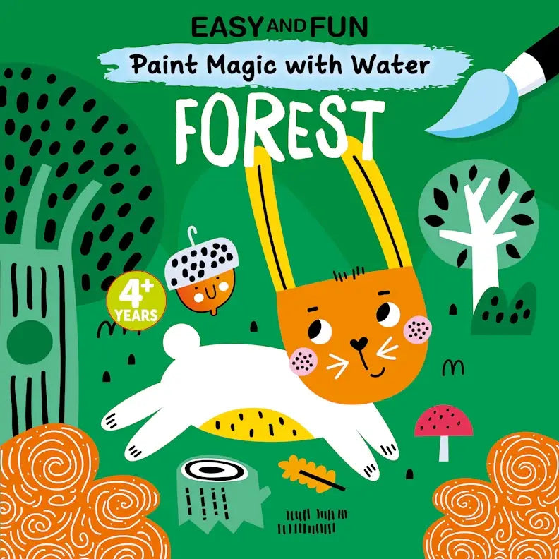 Paint Magic with Water Books