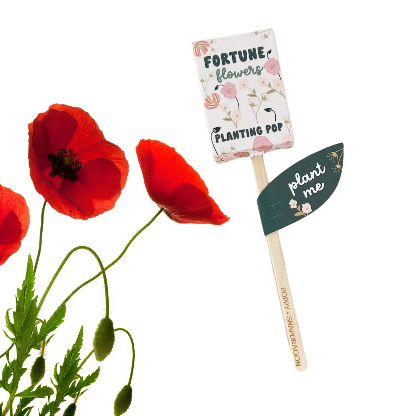 Sow the Magic Planting Pops