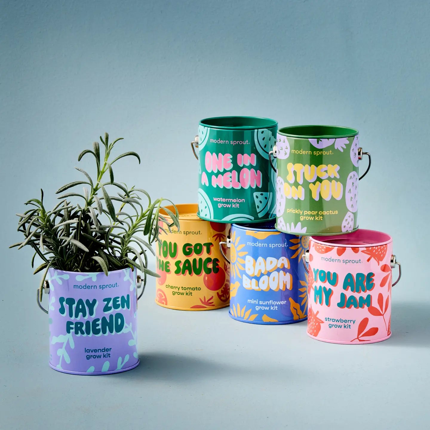 Modern Sprout Grow Kits