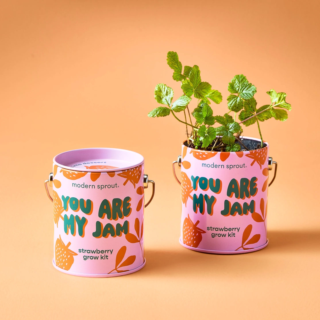 Modern Sprout Grow Kits
