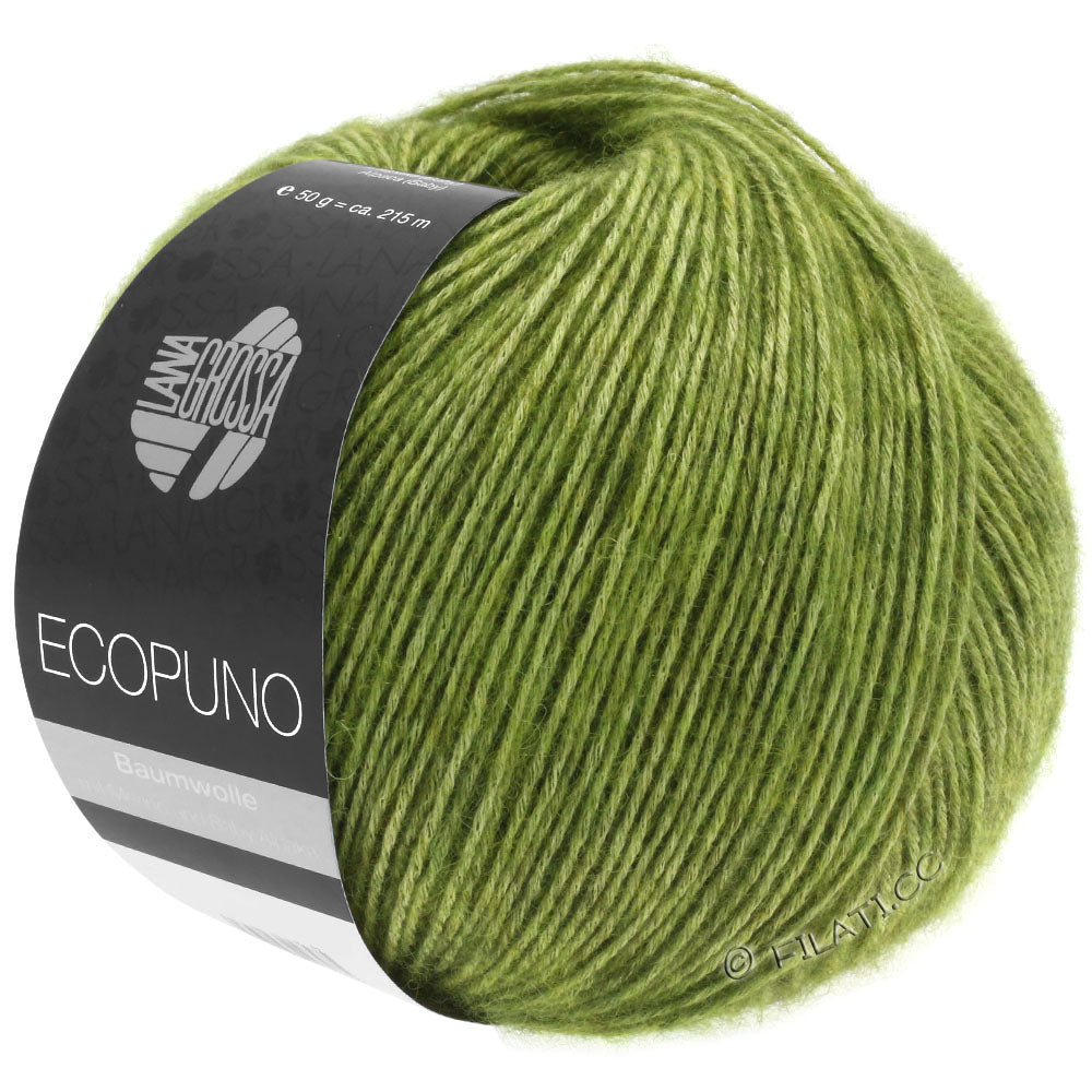 Ecopuno Shawl (Design 22) Kit