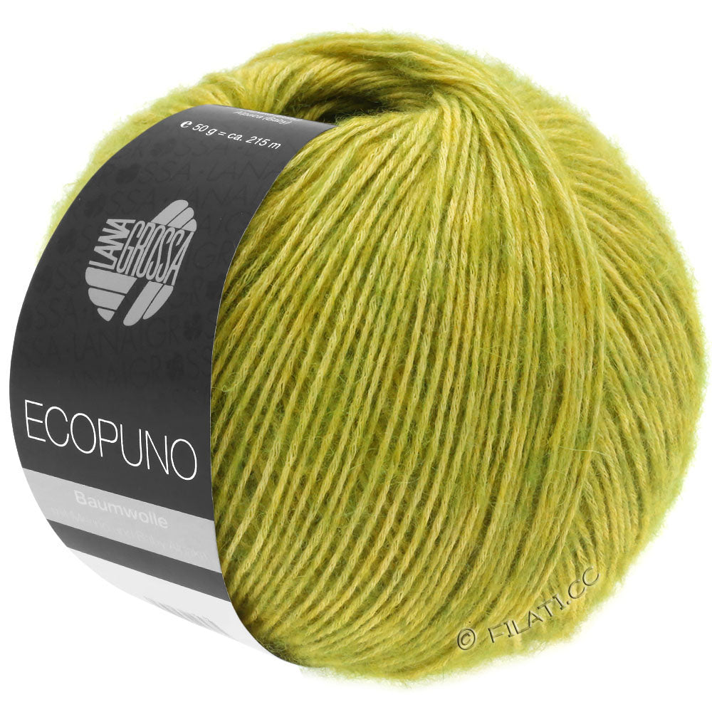 Ecopuno Shawl (Design 22) Kit