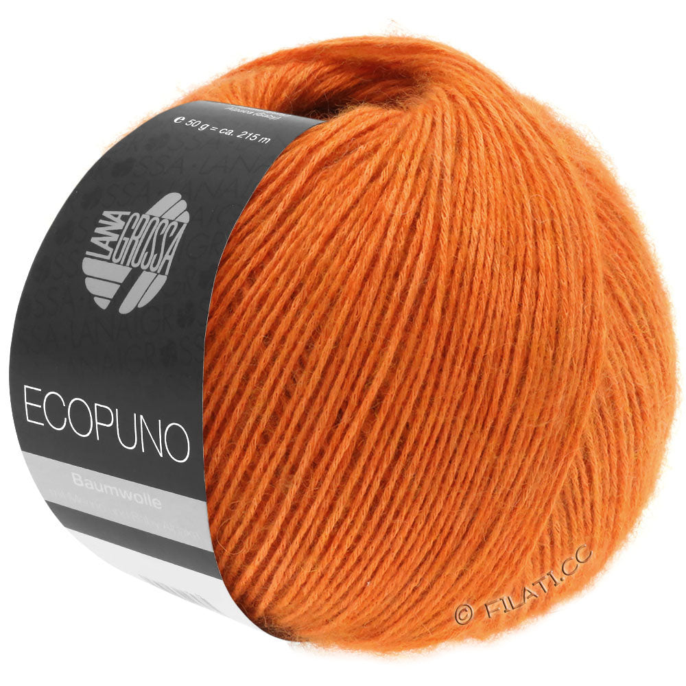 Ecopuno Shawl (Design 22) Kit