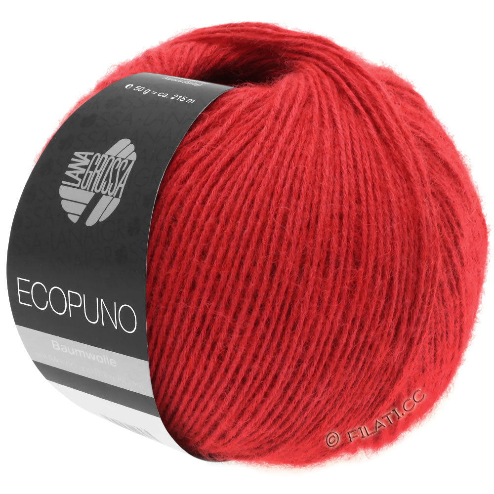 Ecopuno Shawl (Design 22) Kit