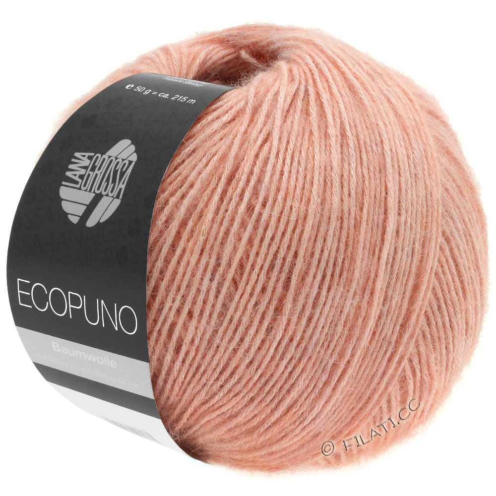 Ecopuno Shawl (Design 22) Kit