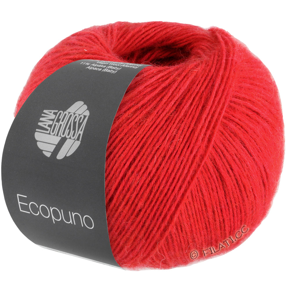 Ecopuno Shawl (Design 22) Kit