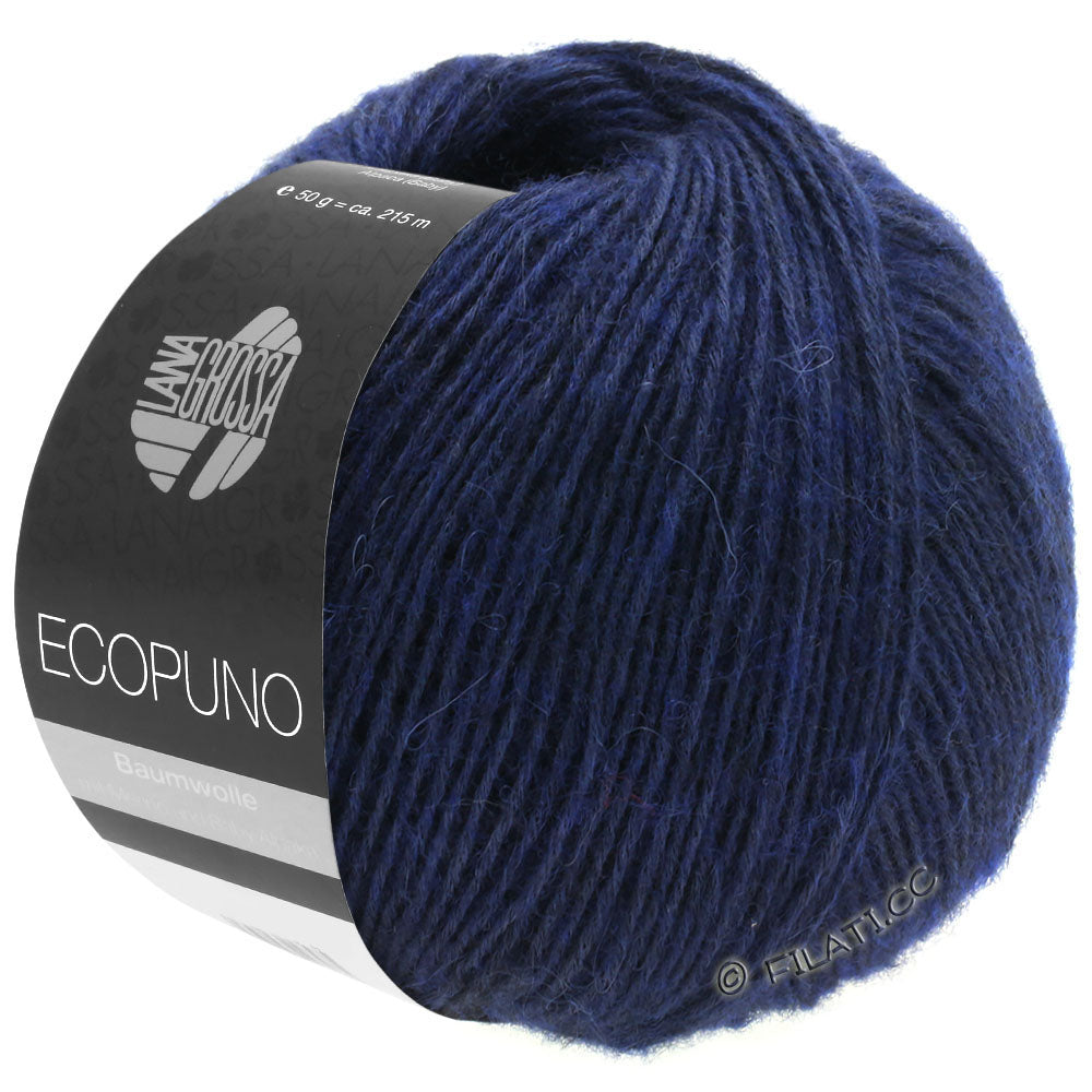 Ecopuno Shawl (Design 22) Kit