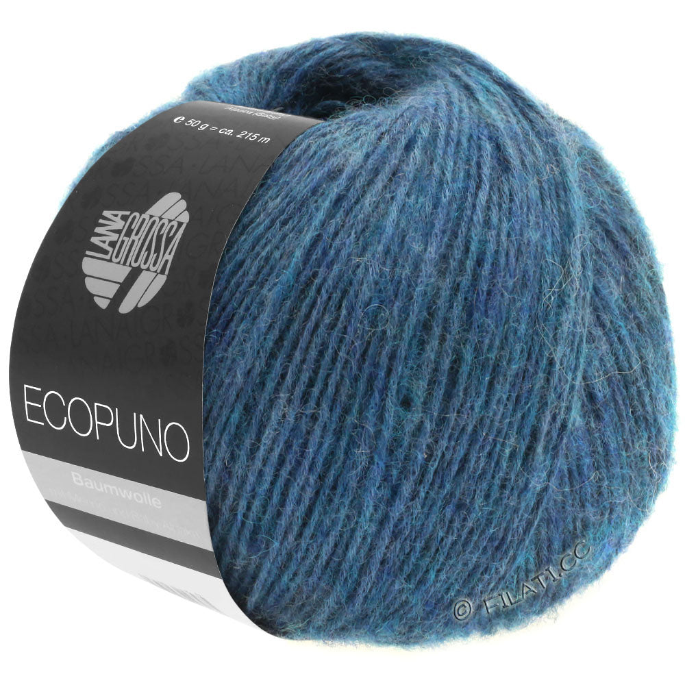 Ecopuno Shawl (Design 22) Kit