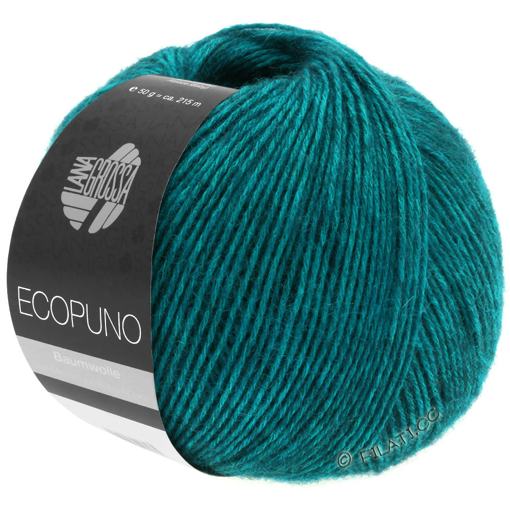 Ecopuno Shawl (Design 22) Kit