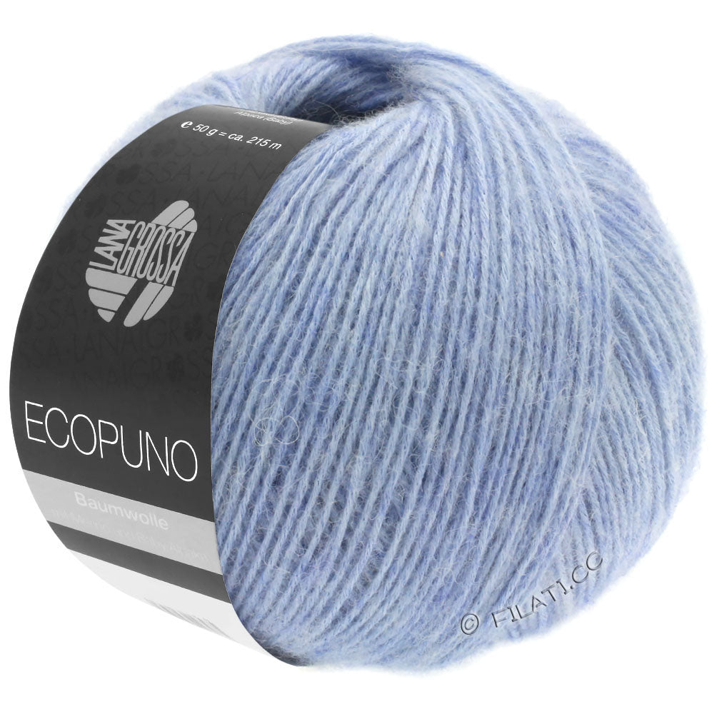 Ecopuno Shawl (Design 22) Kit