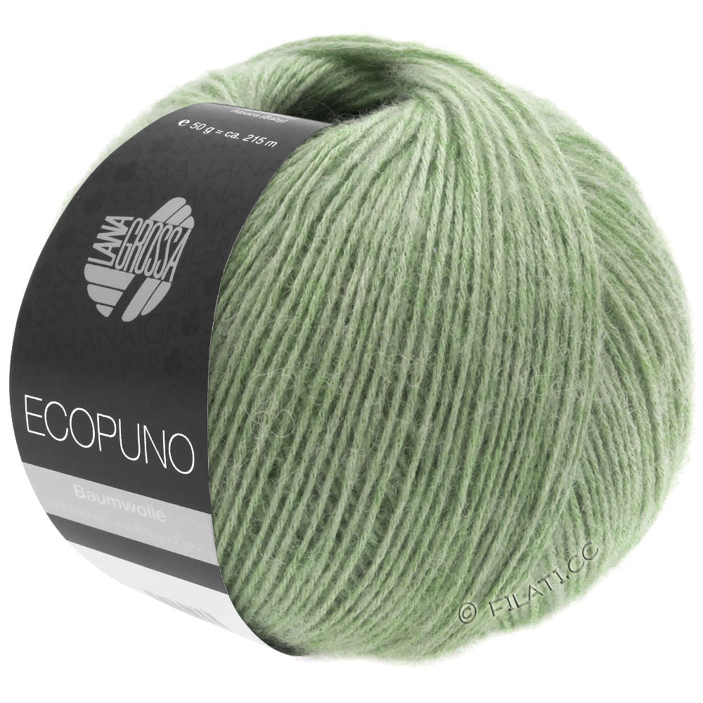 Ecopuno Shawl (Design 22) Kit