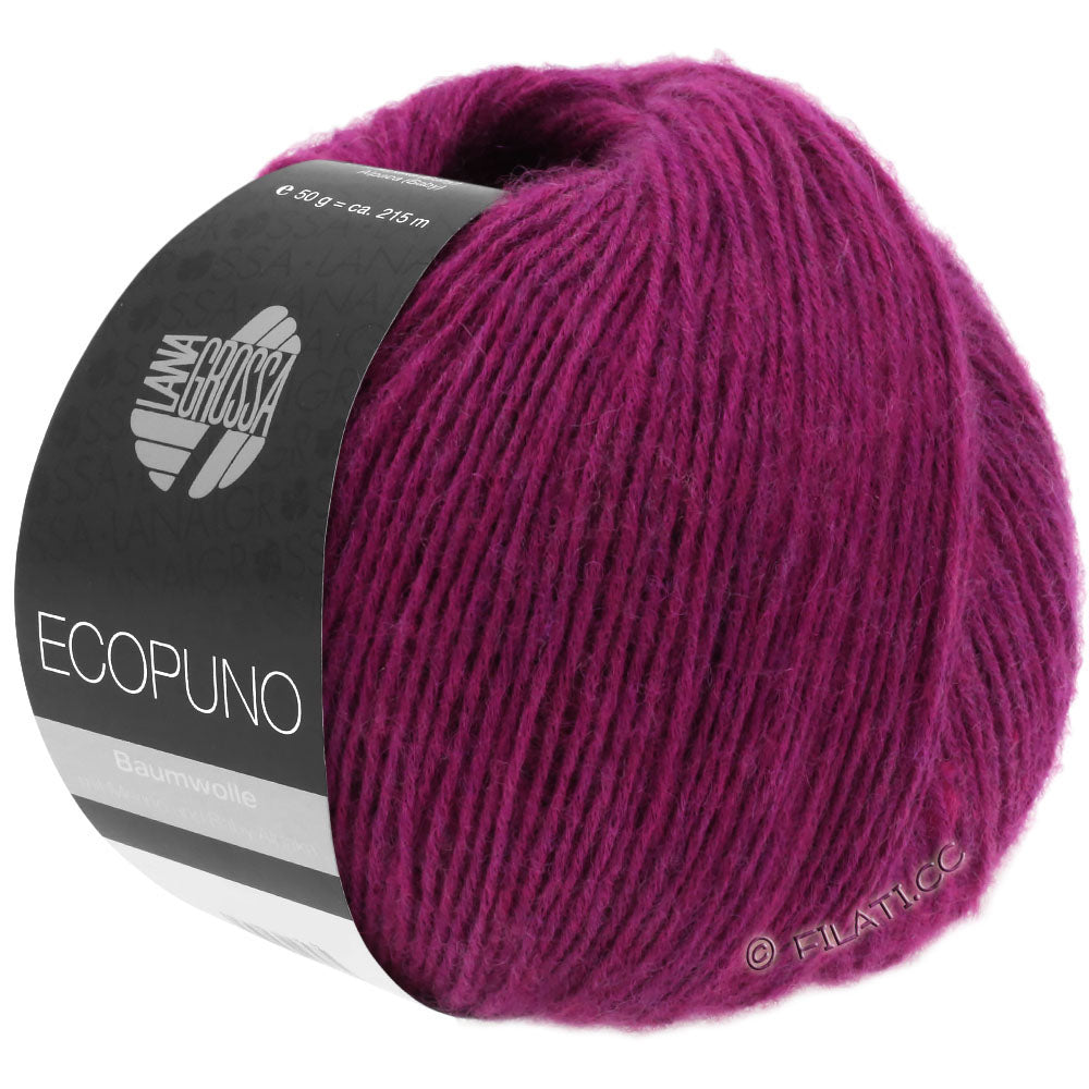 Ecopuno Shawl (Design 22) Kit