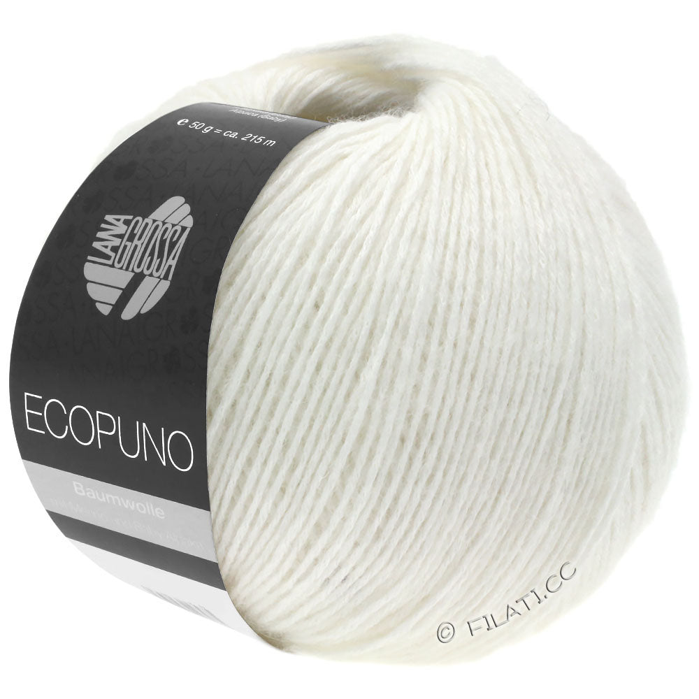 Ecopuno Shawl (Design 22) Kit