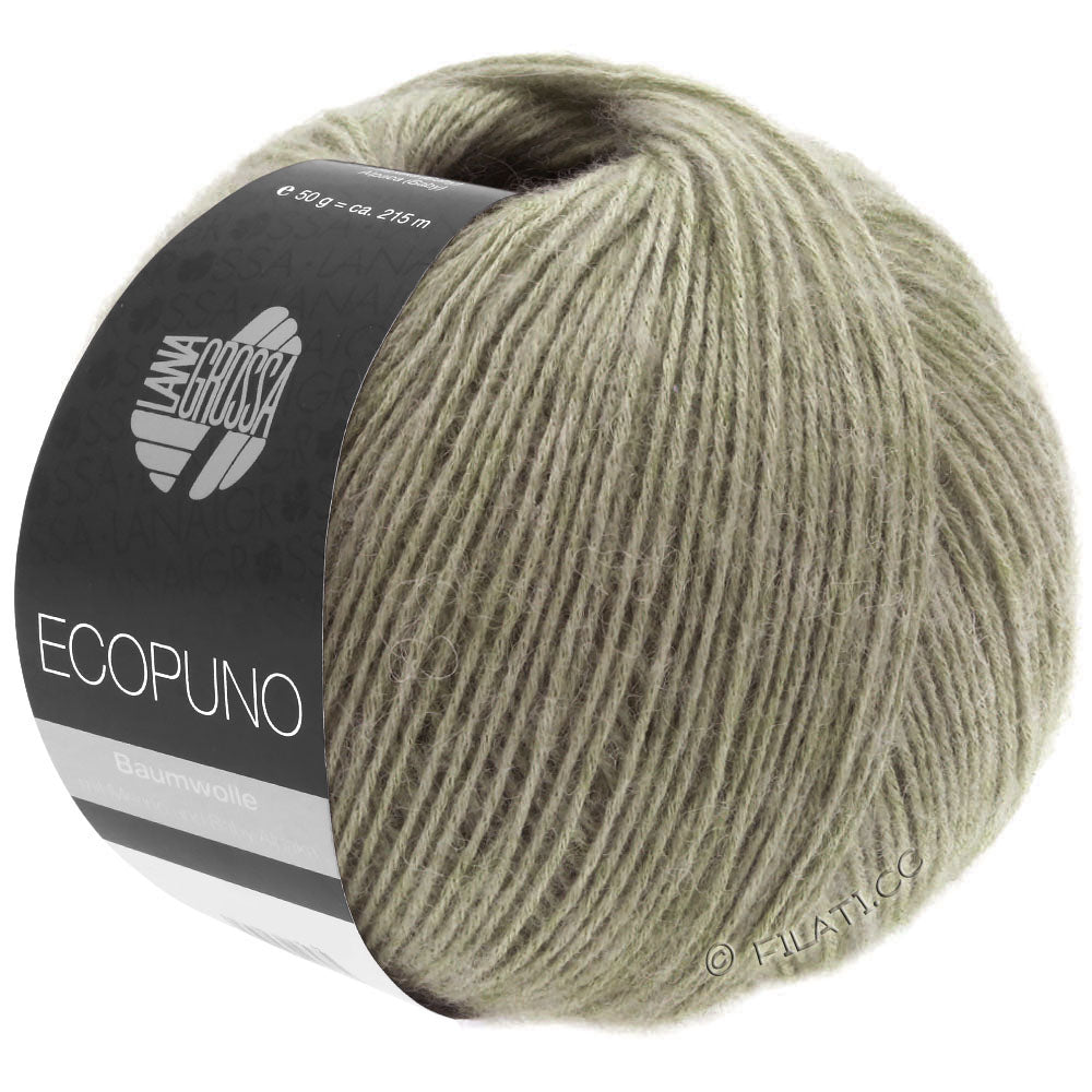 Ecopuno Shawl (Design 22) Kit