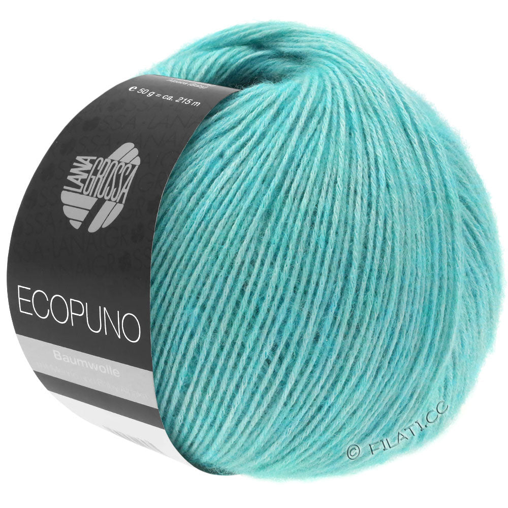 Ecopuno Shawl (Design 22) Kit