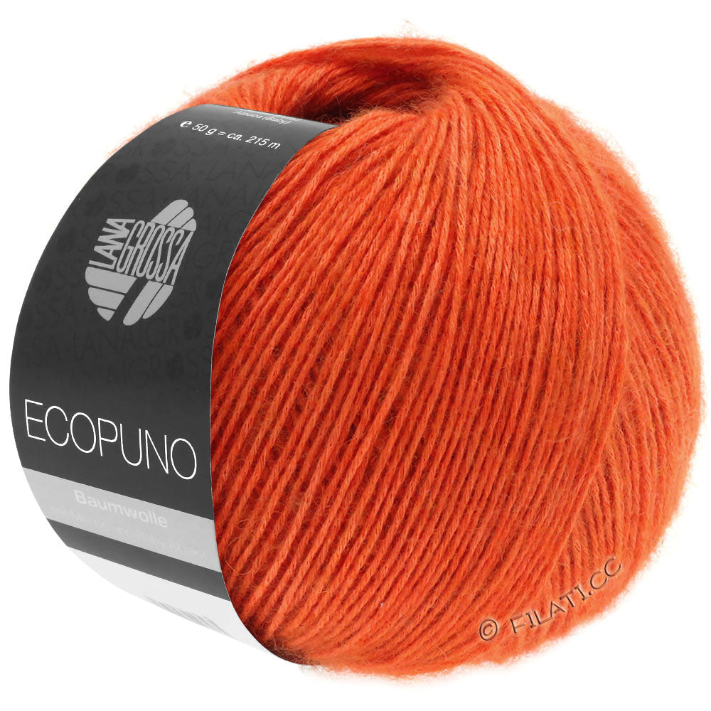 Ecopuno Shawl (Design 22) Kit