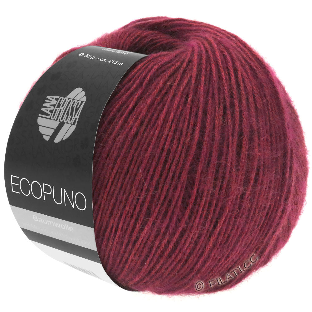 Ecopuno Shawl (Design 22) Kit