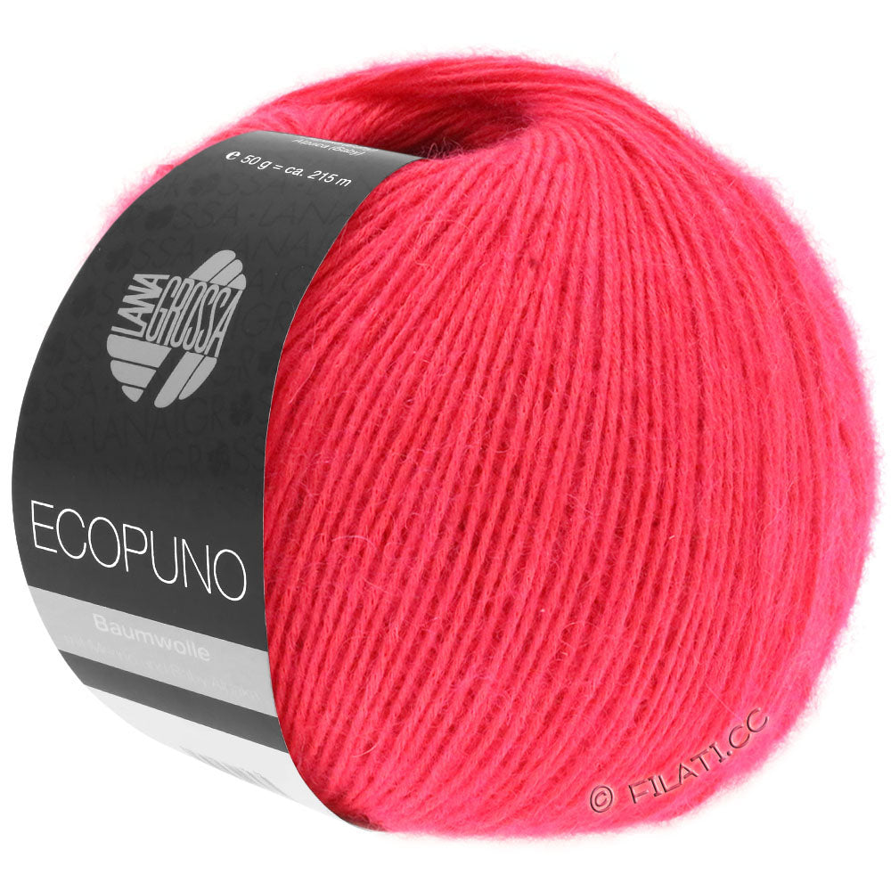 Ecopuno Shawl (Design 22) Kit