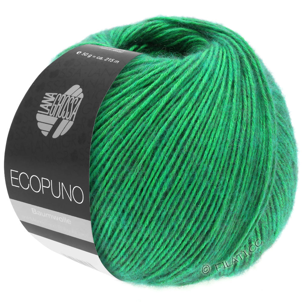 Ecopuno Shawl (Design 22) Kit