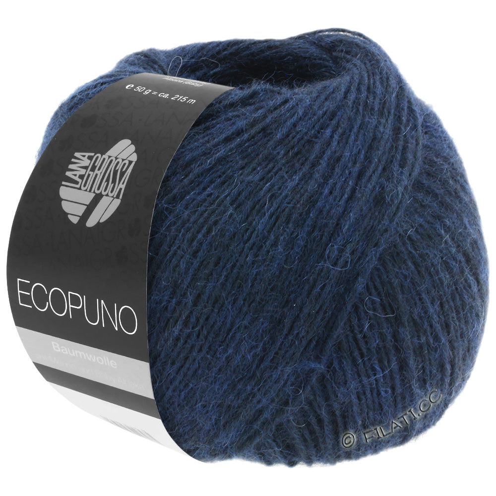 Ecopuno Shawl (Design 22) Kit