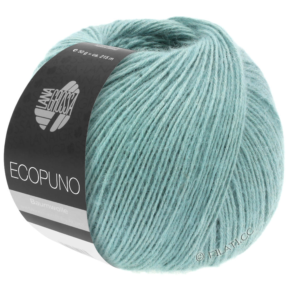 Ecopuno Shawl (Design 22) Kit