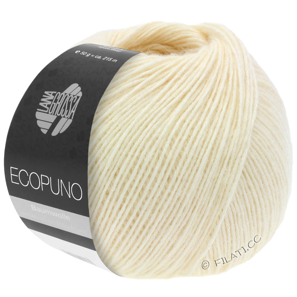 Ecopuno Shawl (Design 22) Kit