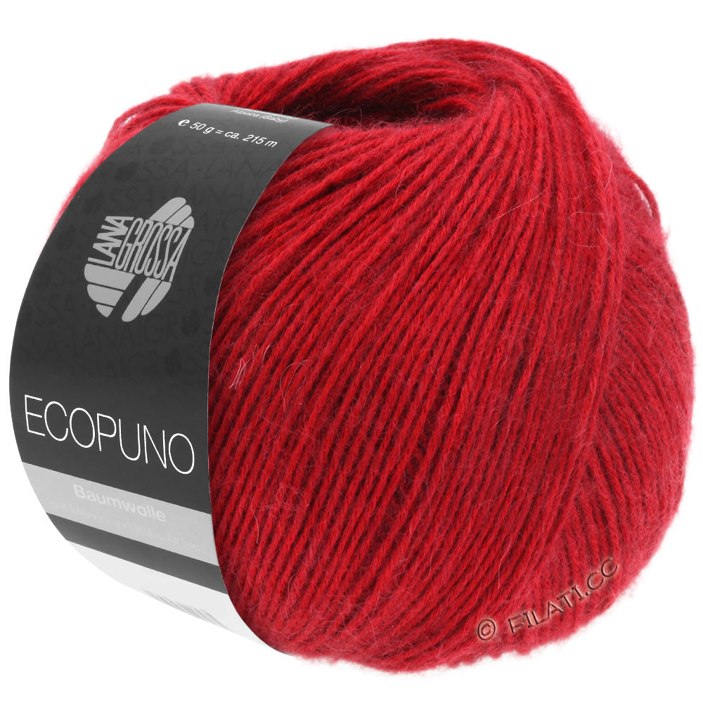 Ecopuno Shawl (Design 22) Kit