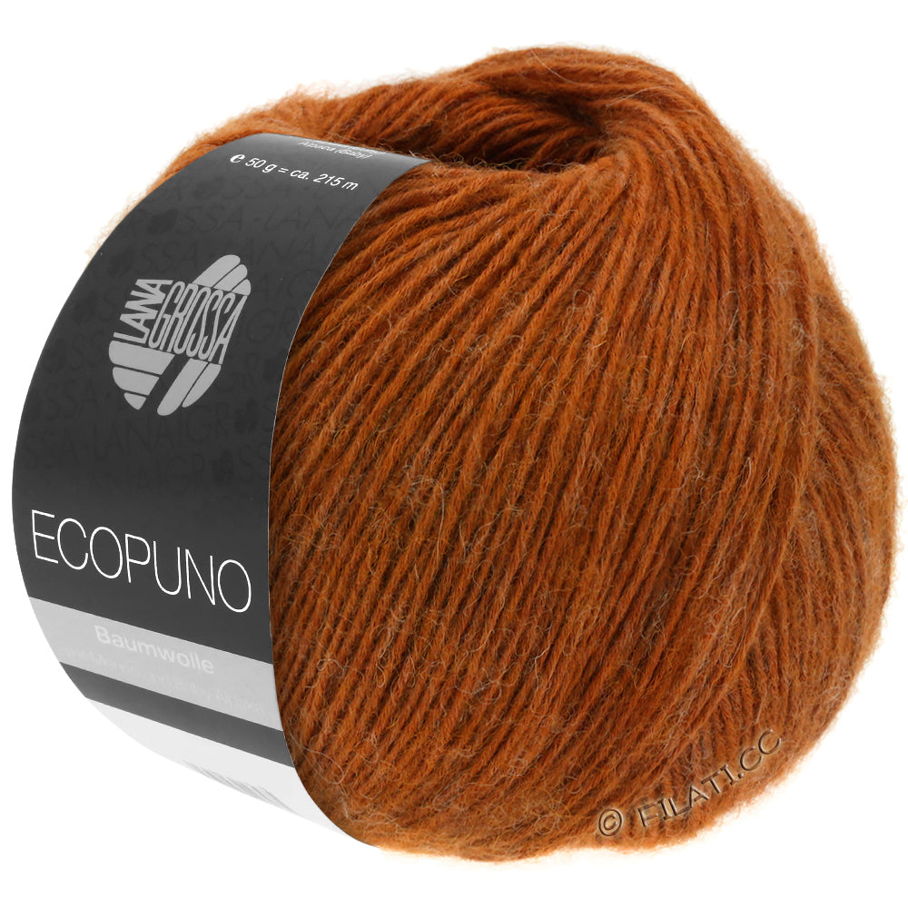 Ecopuno Shawl (Design 22) Kit