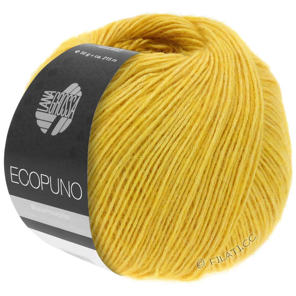 Ecopuno Shawl (Design 22) Kit