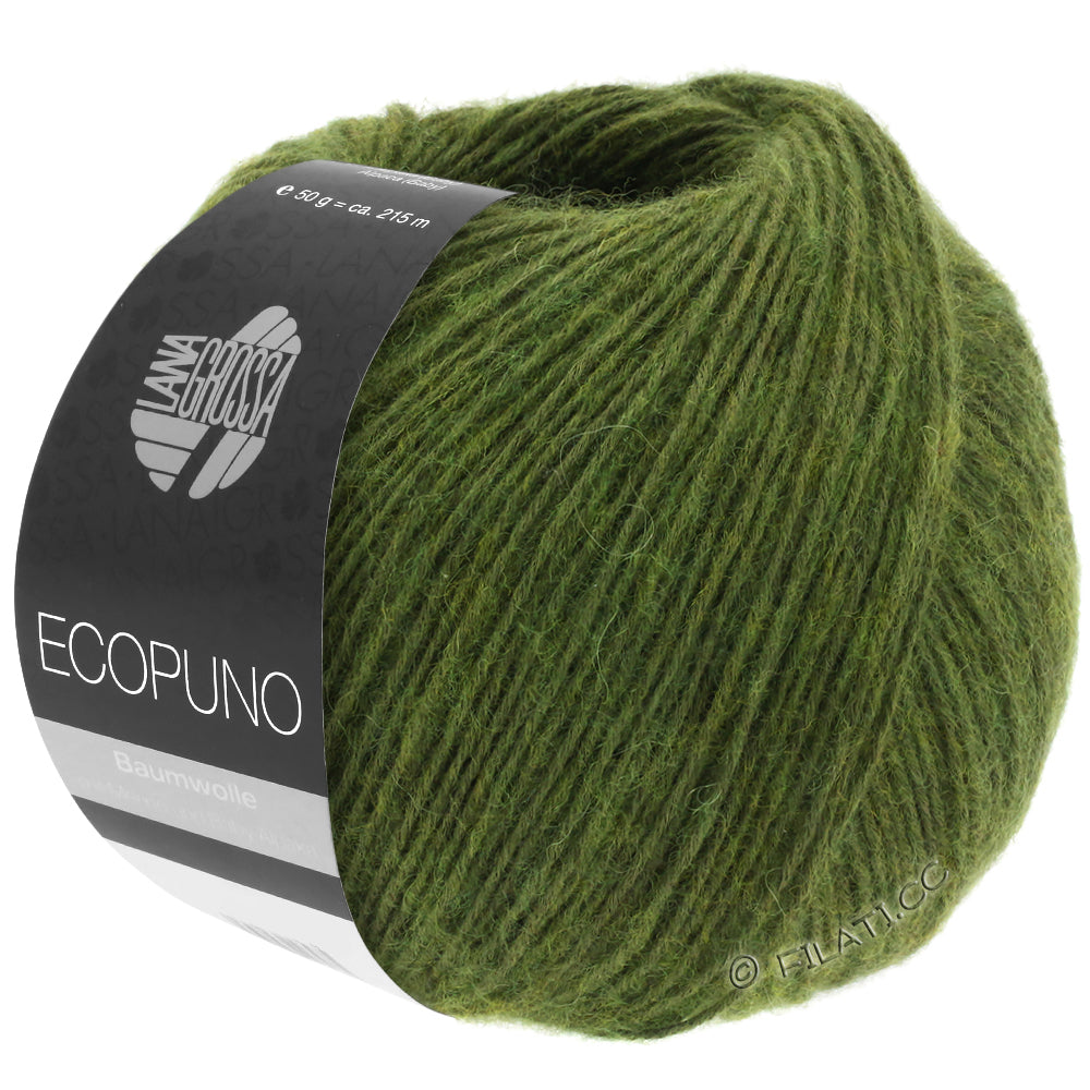 Ecopuno Shawl (Design 22) Kit