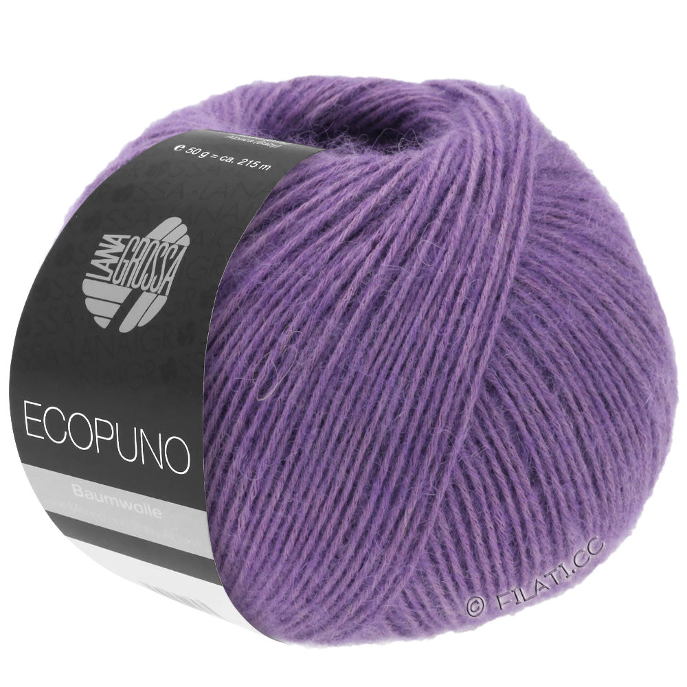 Ecopuno Shawl (Design 22) Kit