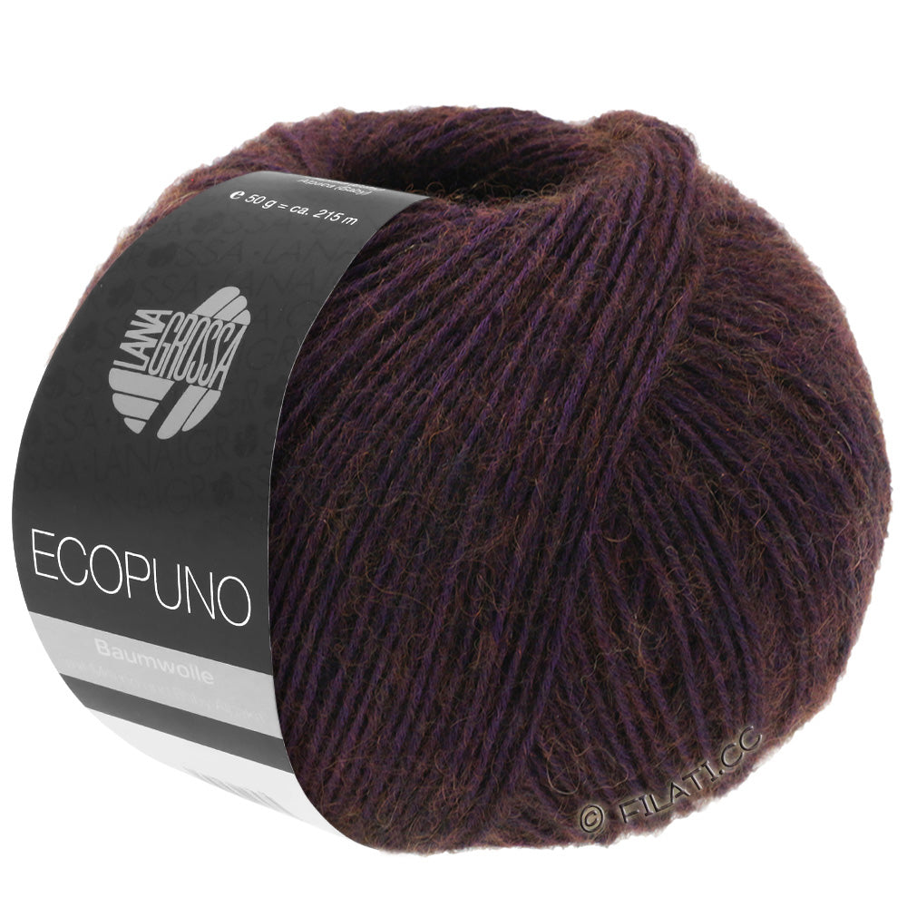 Ecopuno Shawl (Design 22) Kit