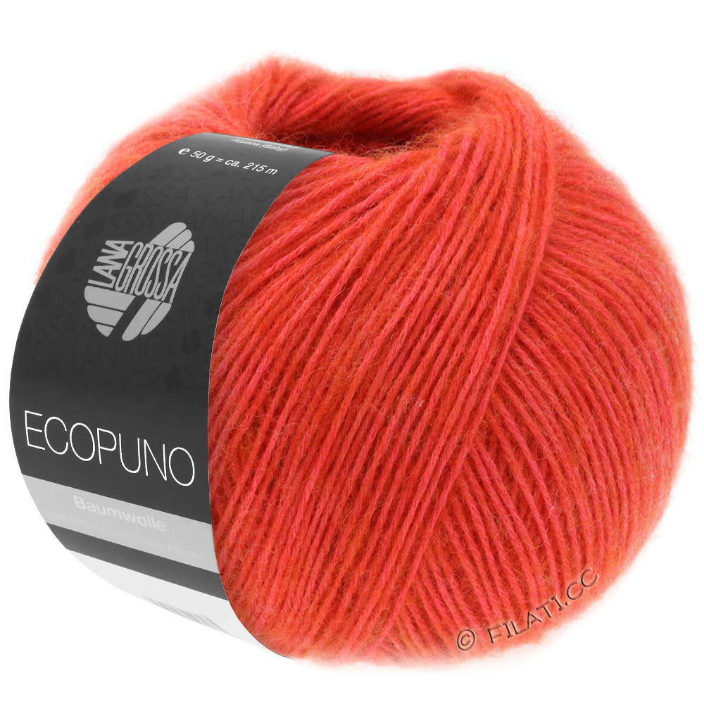 Ecopuno Shawl (Design 22) Kit