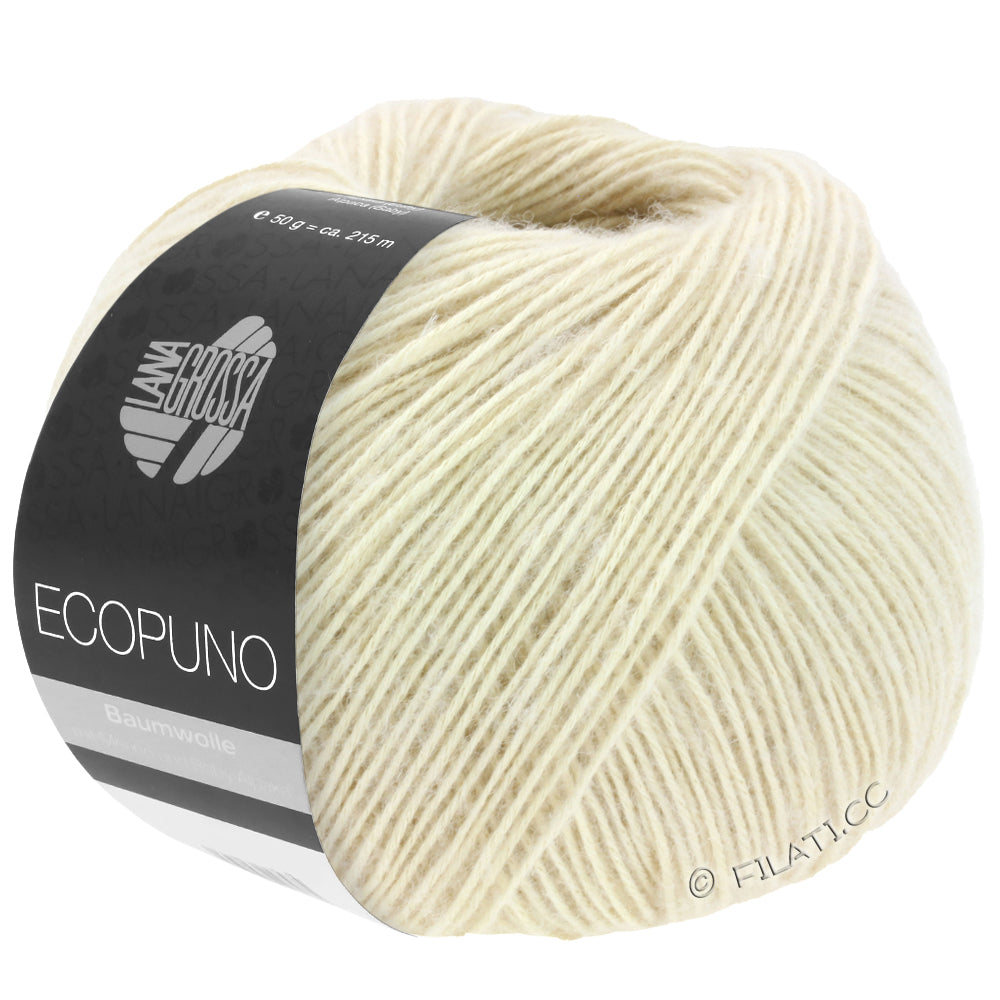 Ecopuno Shawl (Design 22) Kit