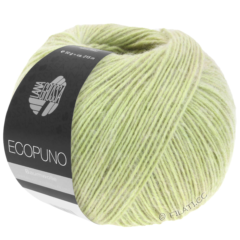 Ecopuno Shawl (Design 22) Kit