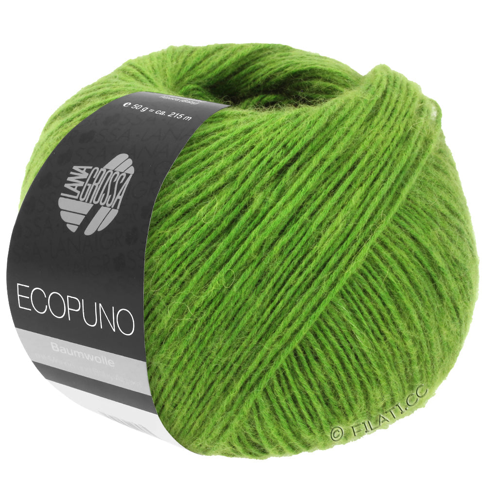 Ecopuno Shawl (Design 22) Kit