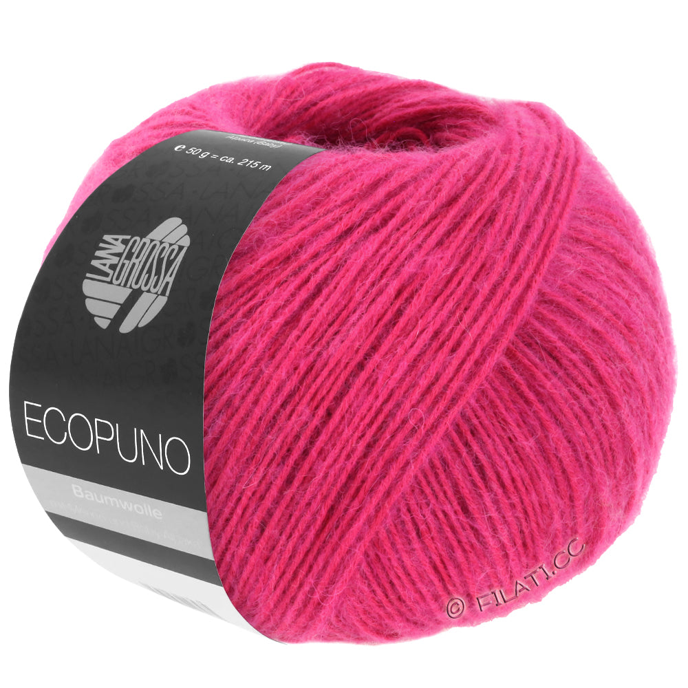 Ecopuno Shawl (Design 22) Kit