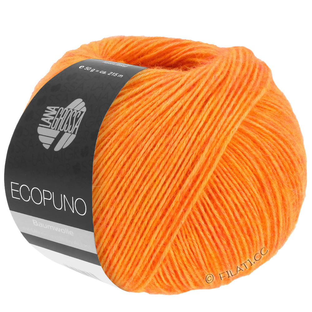 Ecopuno Shawl (Design 22) Kit