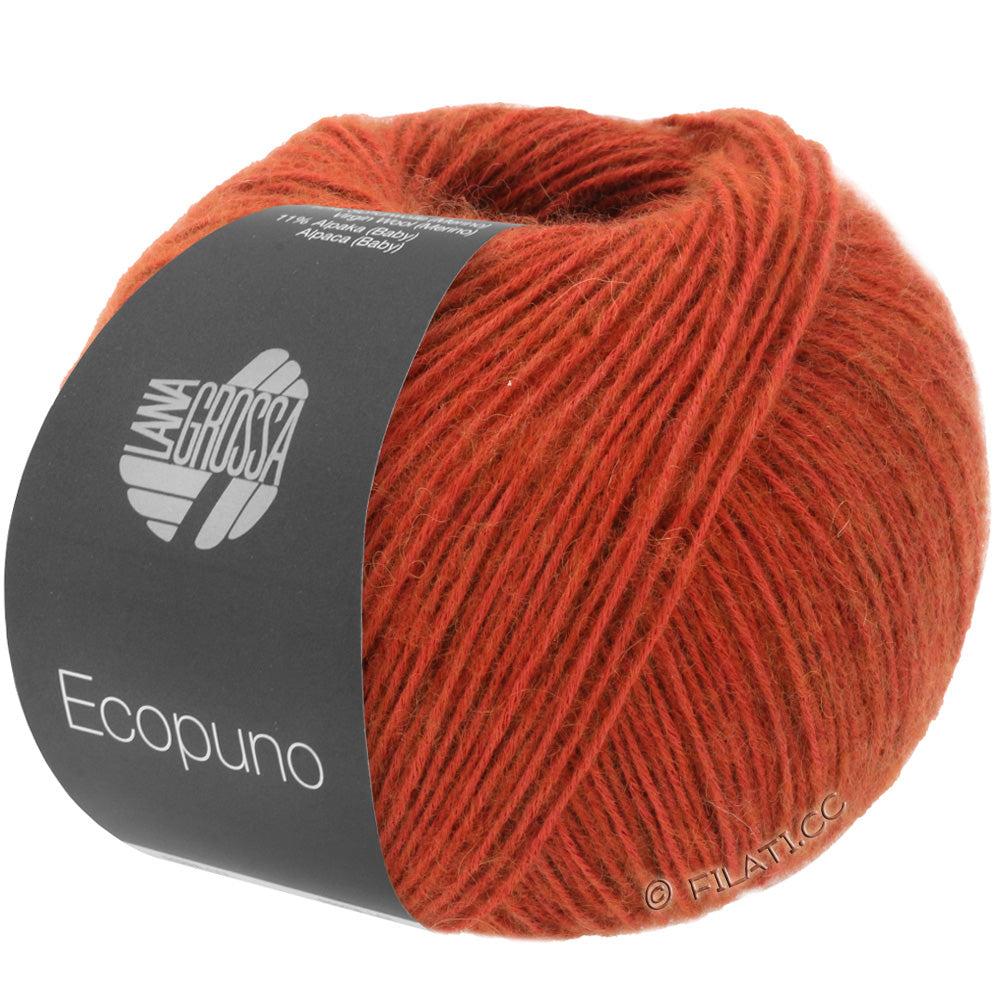 Ecopuno Shawl (Design 22) Kit