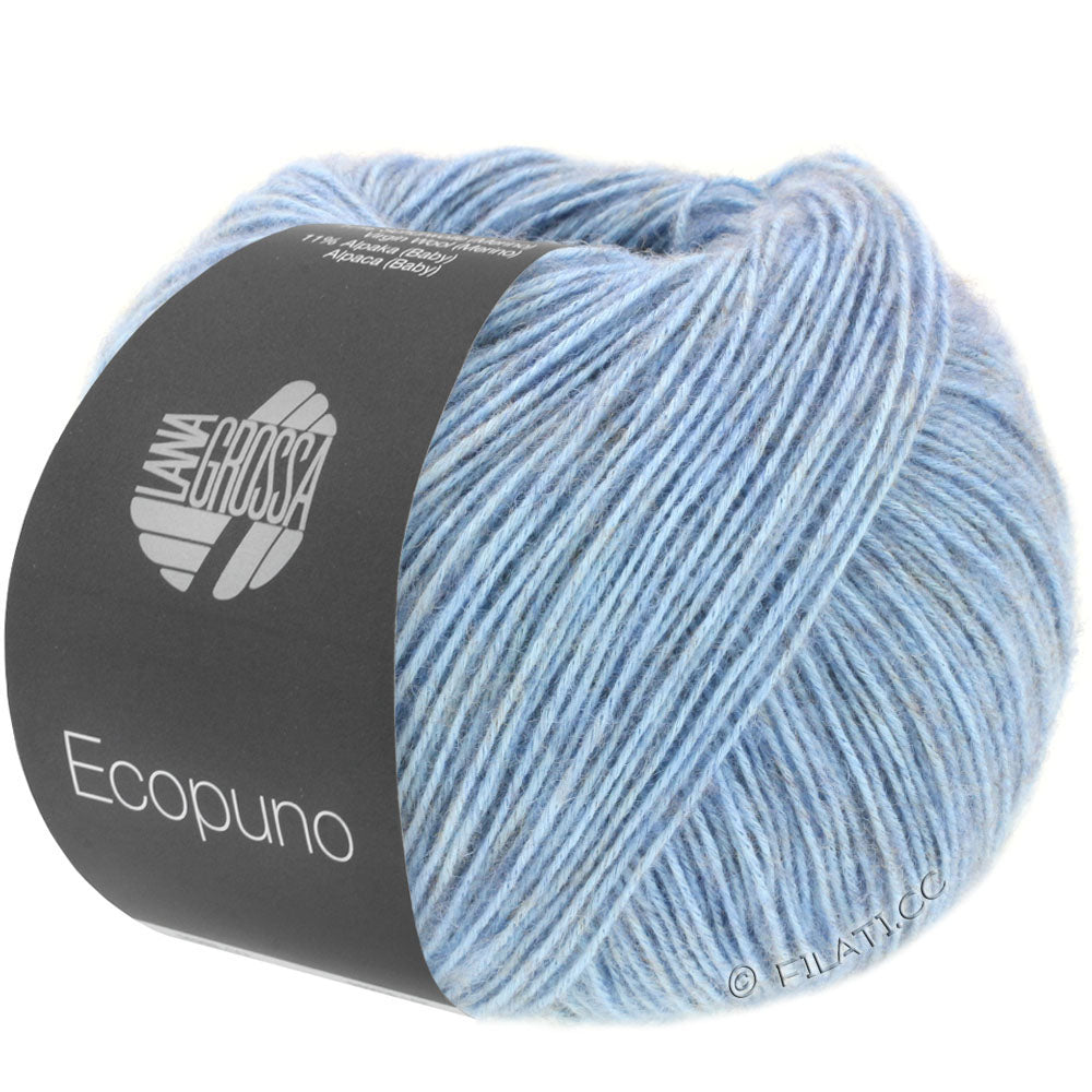 Ecopuno Shawl (Design 22) Kit