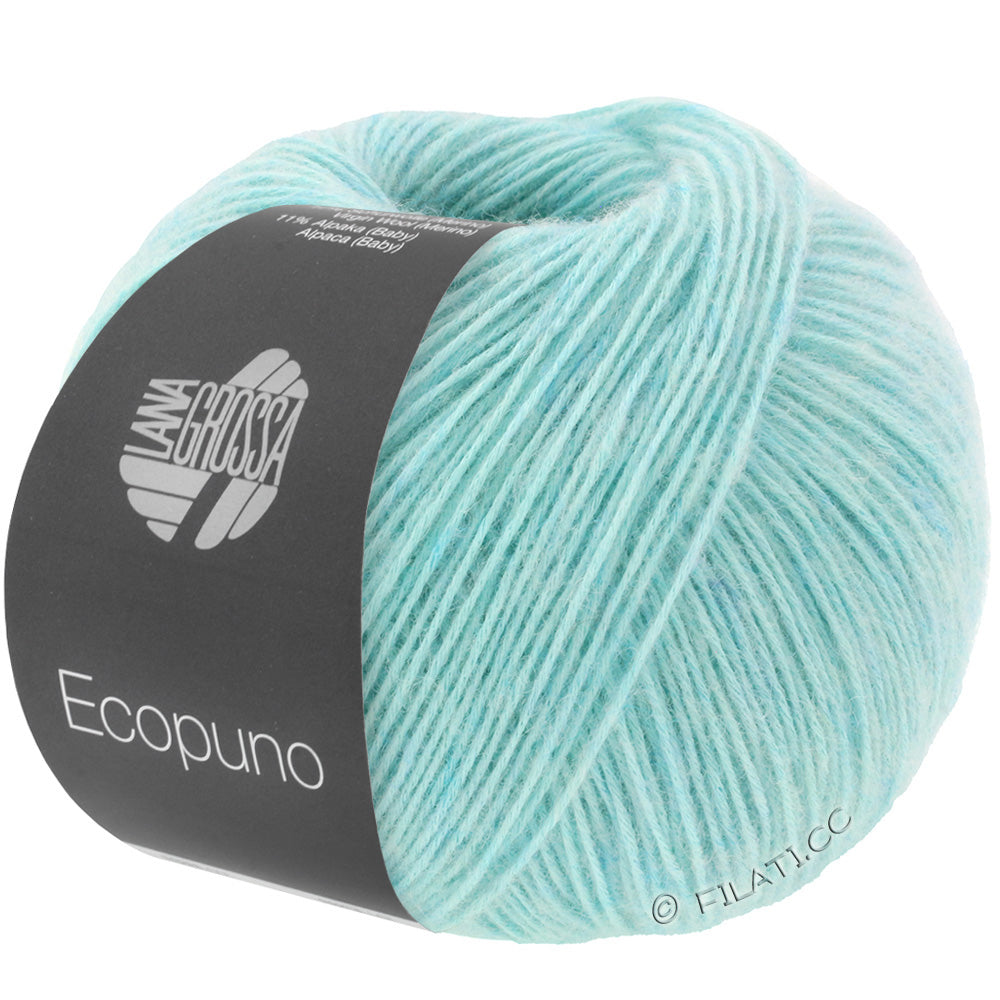 Ecopuno Shawl (Design 22) Kit