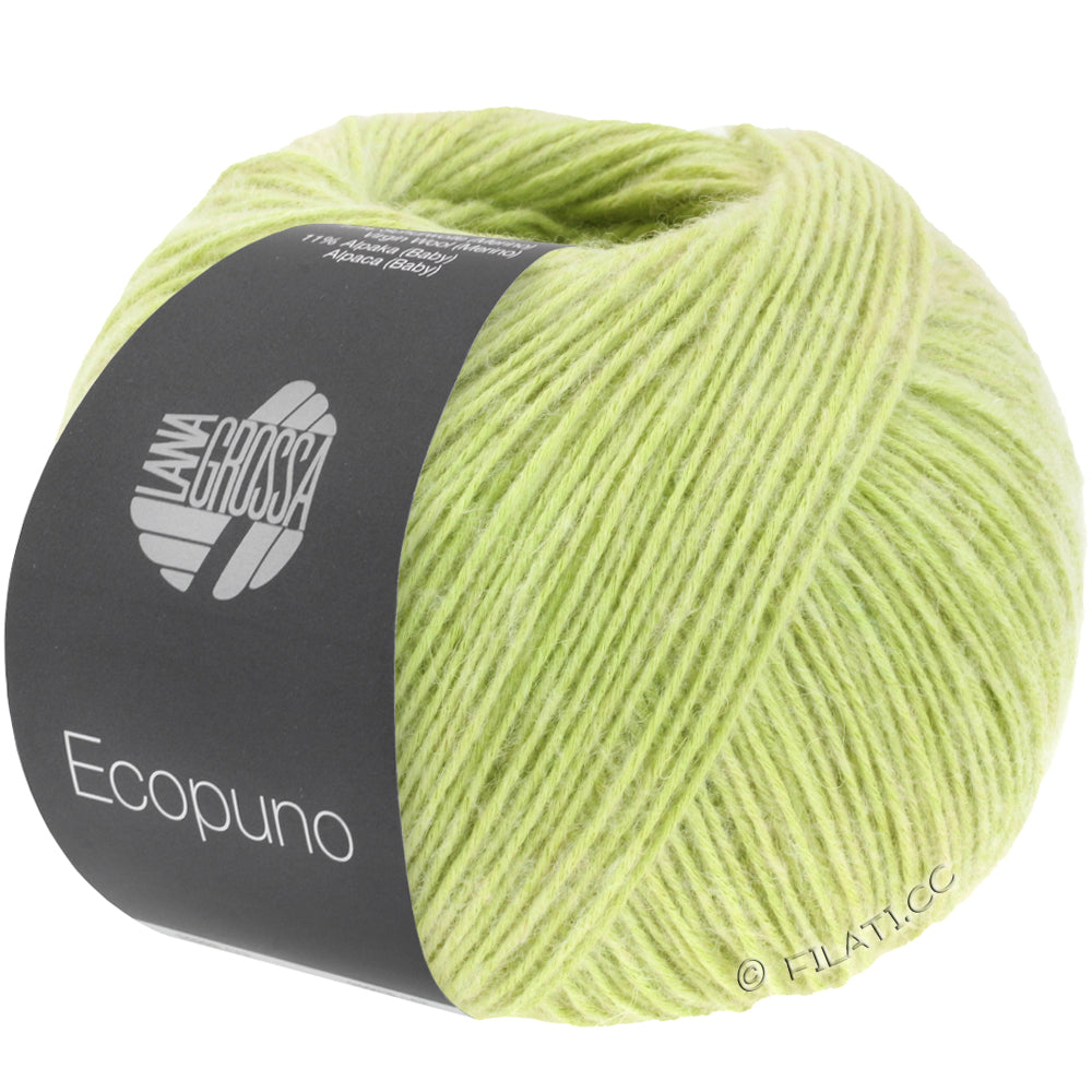 Ecopuno Shawl (Design 22) Kit