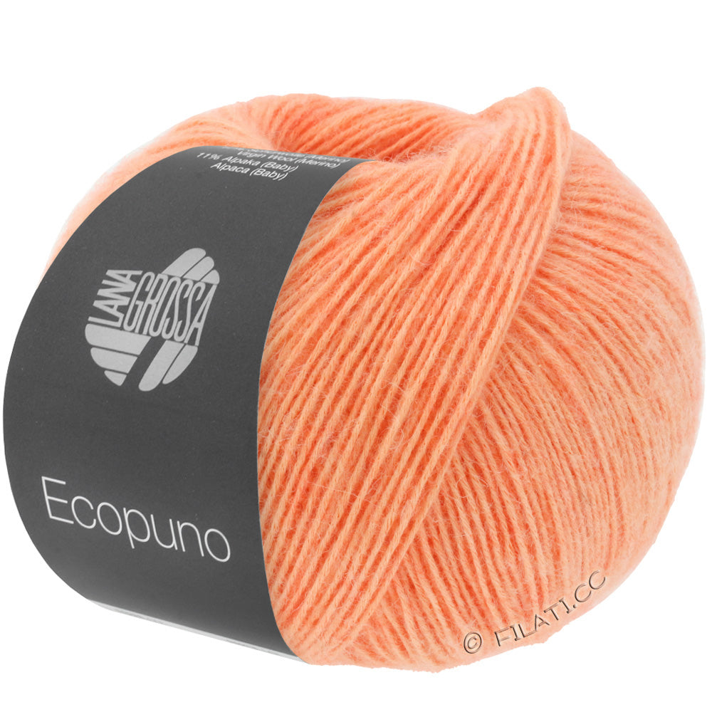 Ecopuno Shawl (Design 22) Kit