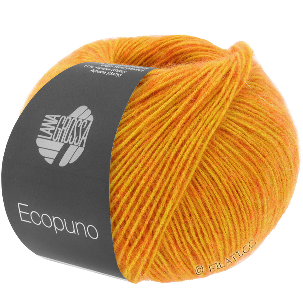 Ecopuno Shawl (Design 22) Kit