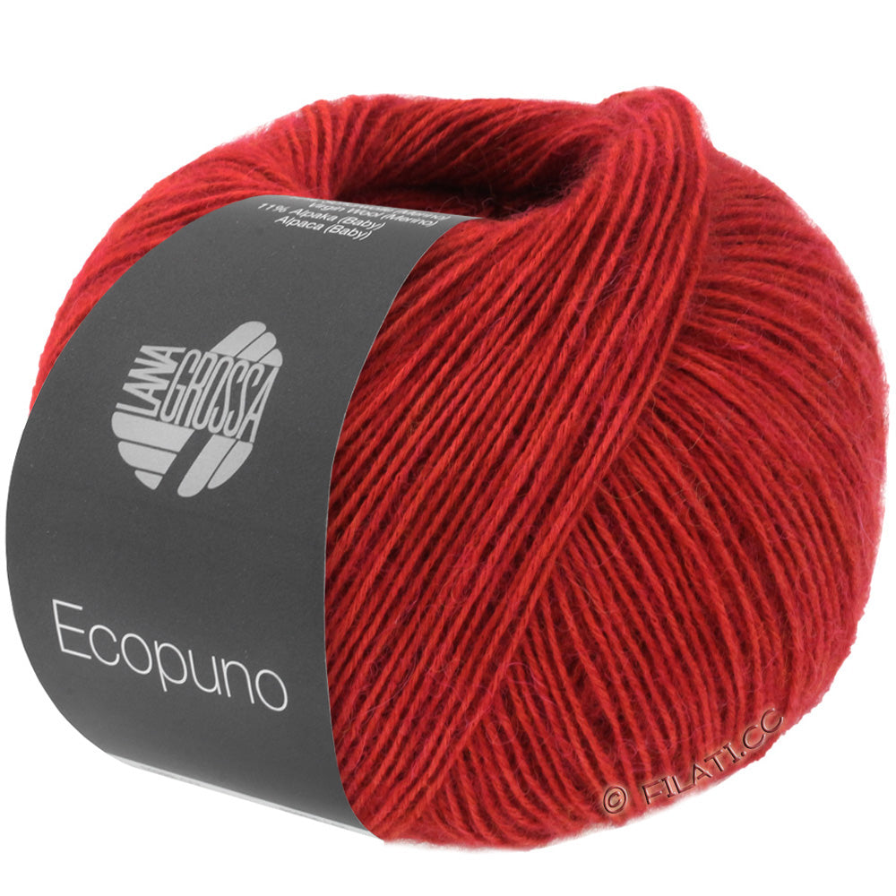 Ecopuno Shawl (Design 22) Kit